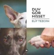 Duy Gör Hisset