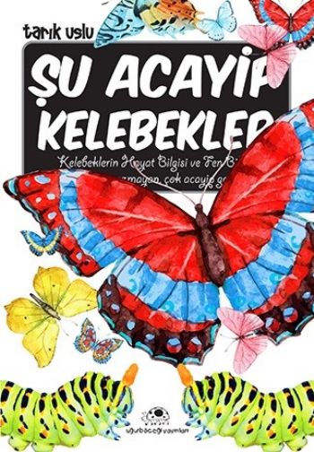 Acayip Şeyler Dizisi 15 Şu Acayip Kelebekler