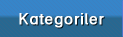 Kategoriler