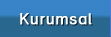 Kurumsal